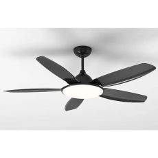Celling fan with light