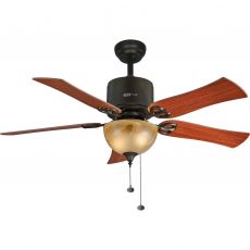 Decorative celling fan