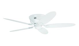 Decorative Ceiling Fans