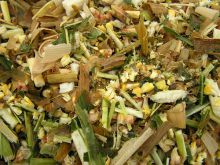Corn Silage