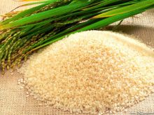 Yellow Flower Sticky Rice