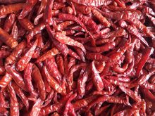 Dried Chili