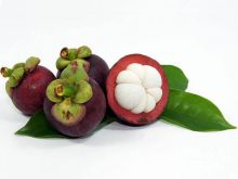 Mangosteen