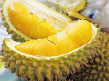 Durian