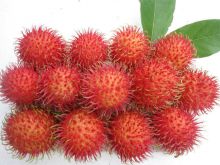 Rambutan