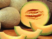 Melon