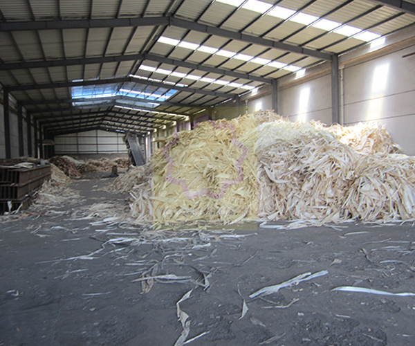 OSB Board