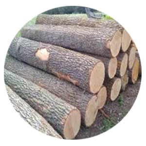 Round timber