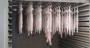 Fish Drying Oven