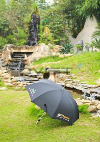 Umbrella