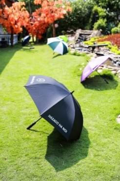 Umbrella