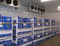 Industrial Cold Storage