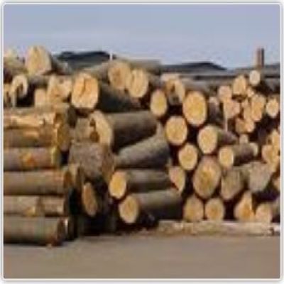 Melaleuca round timber