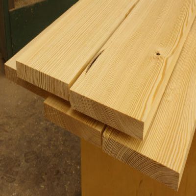 Chilena pine
