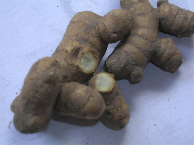 Black ginger