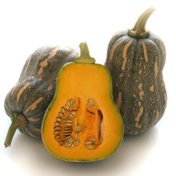 Pumpkin