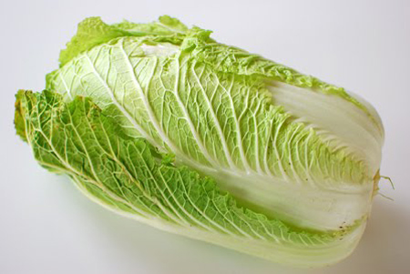 Chinese Cabbage