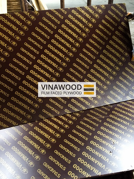 Construction Plywood