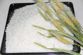 Rice