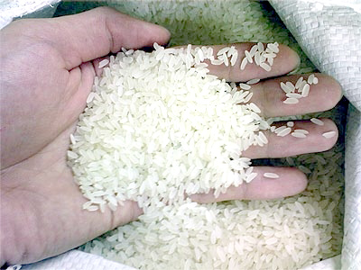 Rice