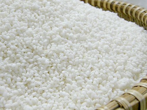 Rice