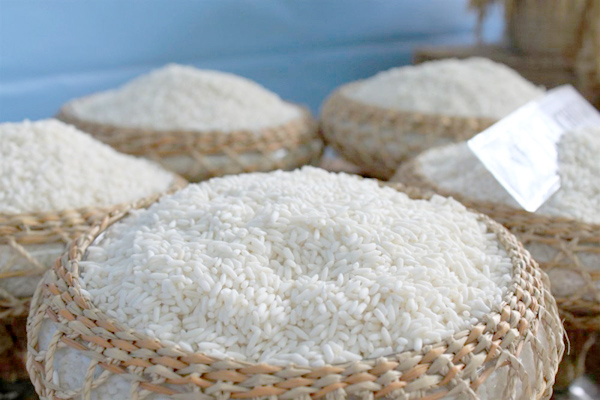 Rice