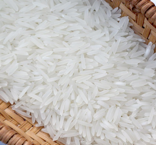 Rice