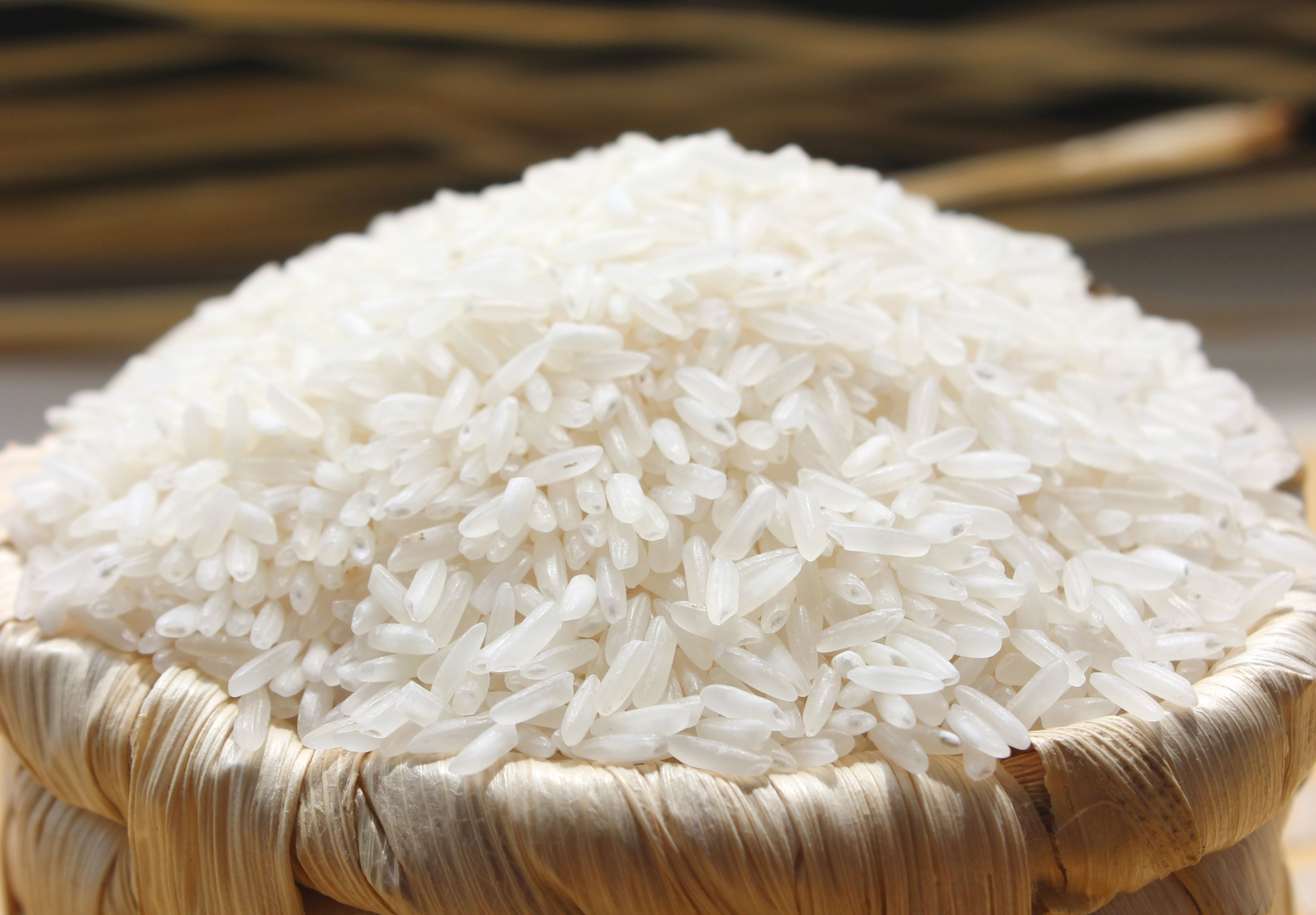 Rice