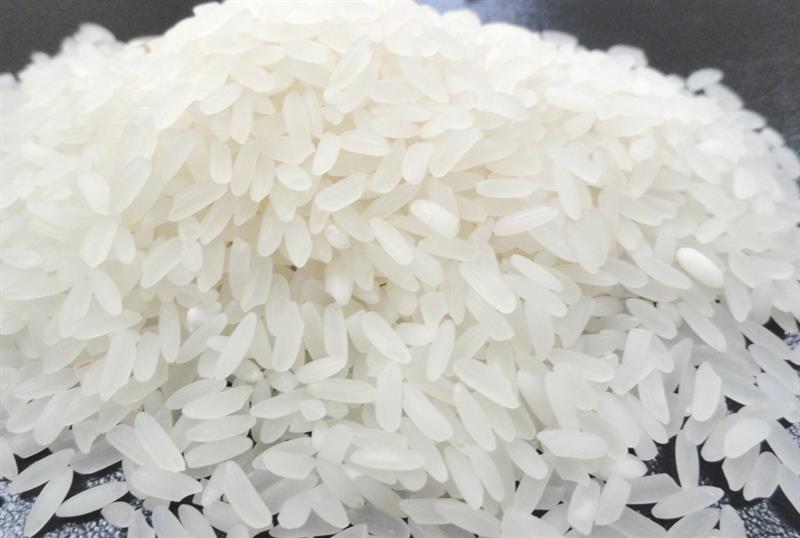 Rice