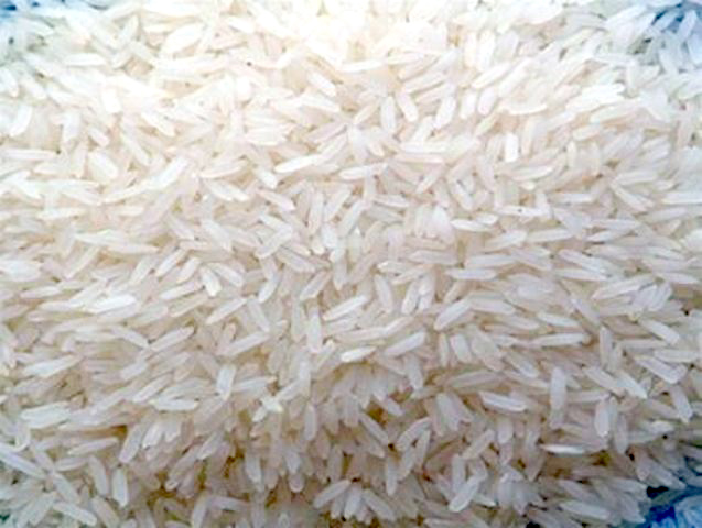 Rice