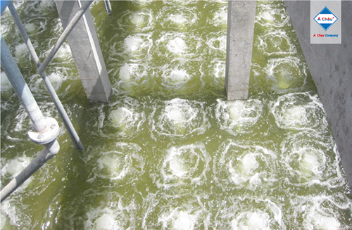 Maintenance & operation of the wastewater treatment system