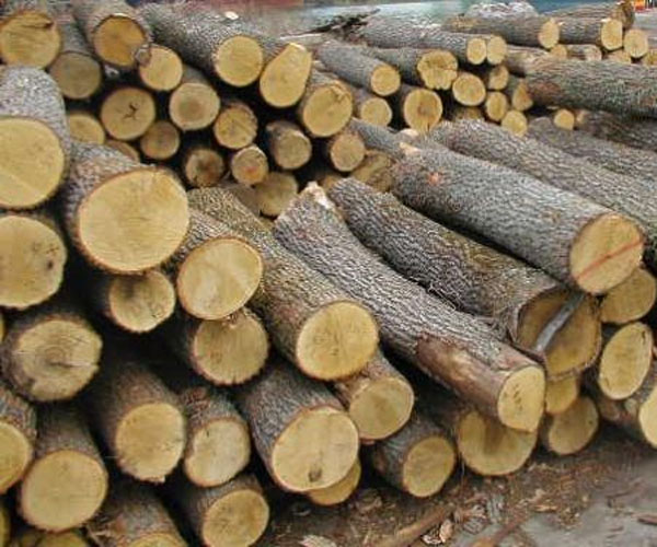 firewood