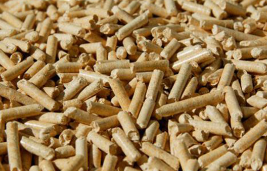 Pine wood chips