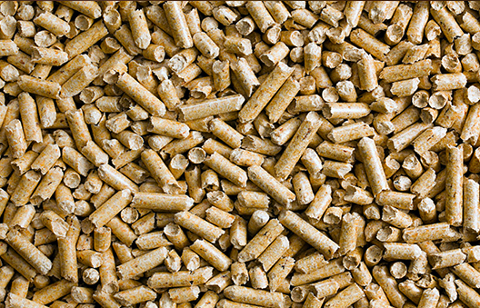 Pine wood chips