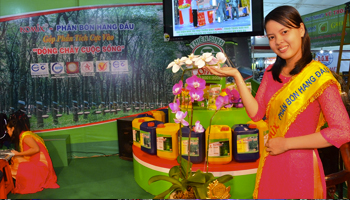 Product launch organization