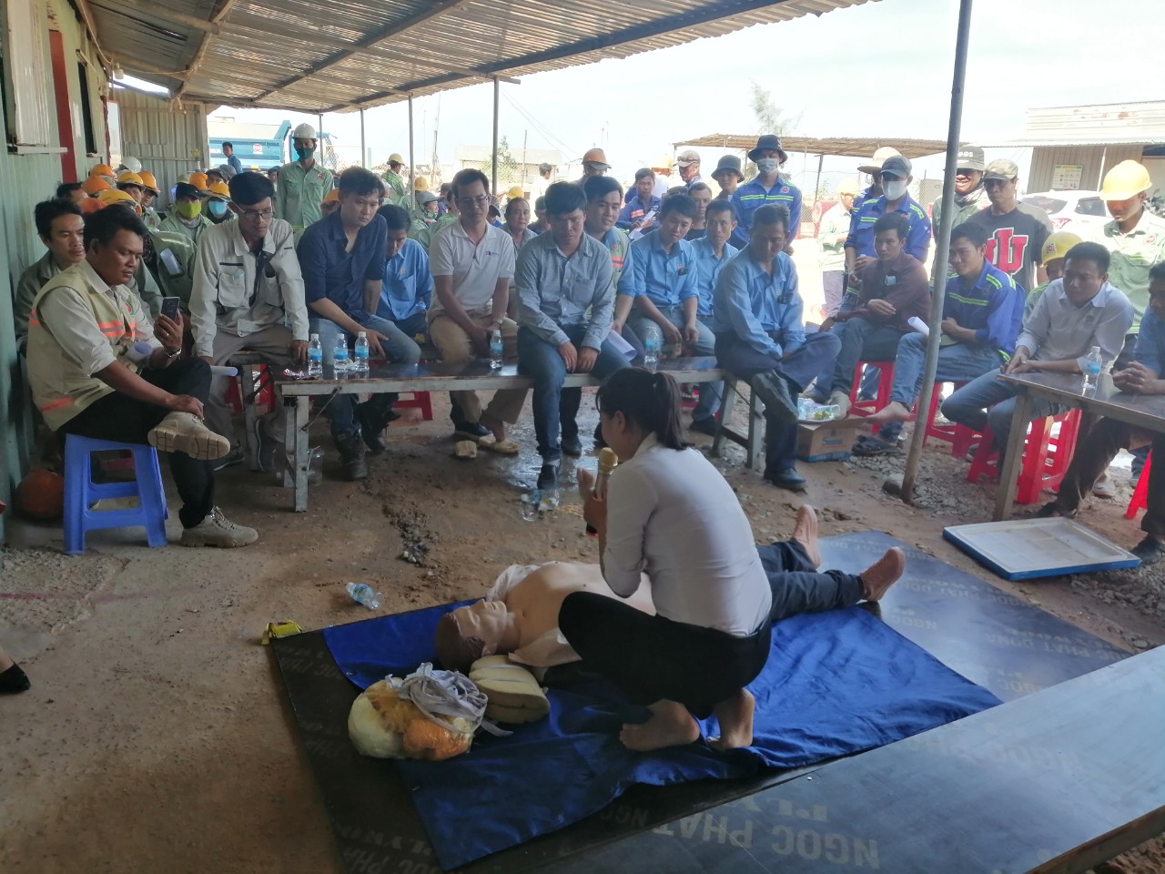 Company activity