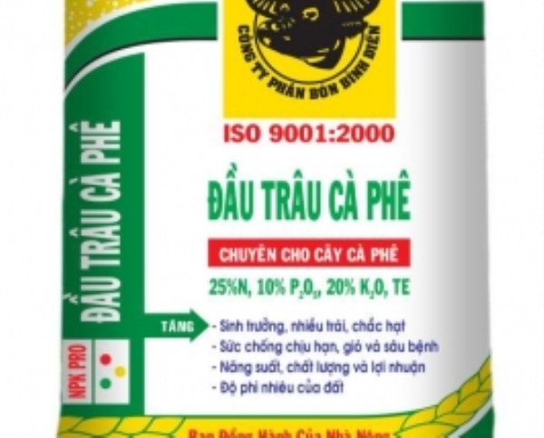 Coated PP bag