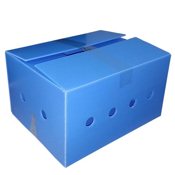 Danpla box