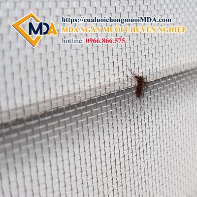 Mosquitoes screen door