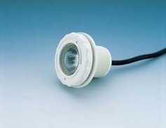 Pool light