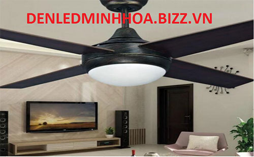 Ceiling fan light