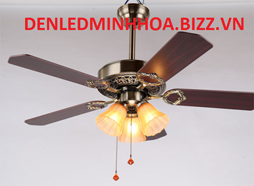 Ceiling fan light