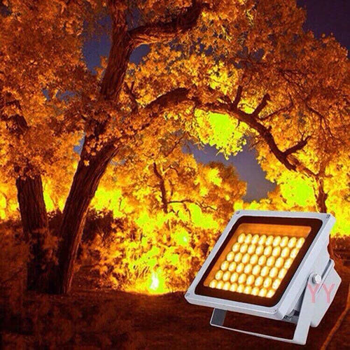 Decorative light
