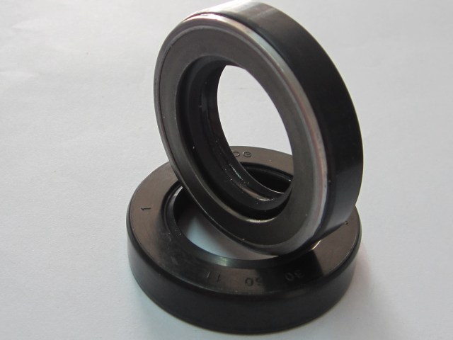 Seals For Rotary Motors