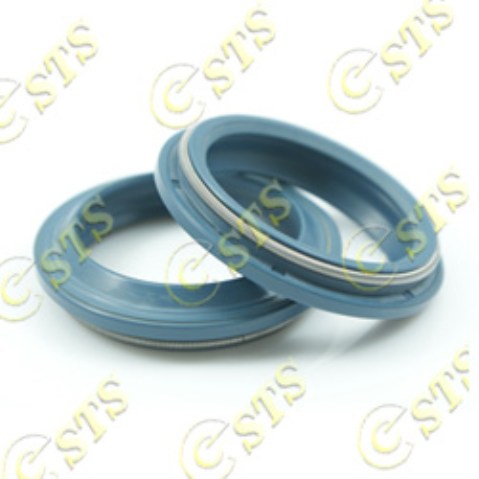 Seals For Rotary Motors