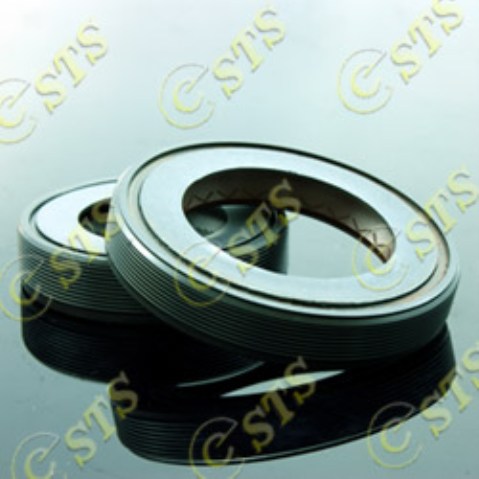 Seals For Rotary Motors