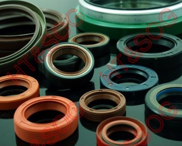 Seals For Rotary Motors