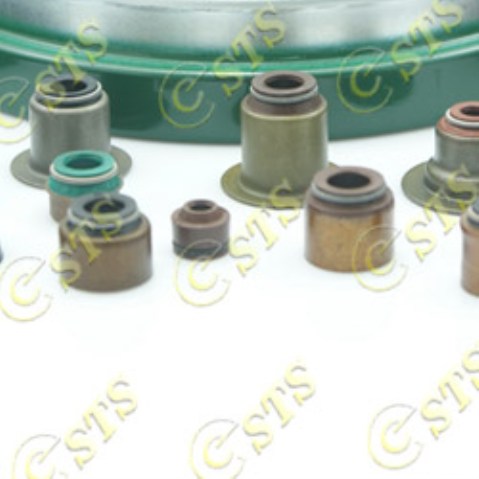 Seals For Rotary Motors