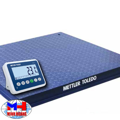 Mettler Toledo floor scale