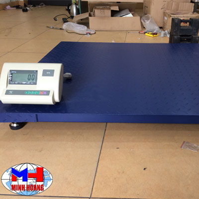 Zemic A12 floor scale
